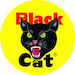 Black Cat